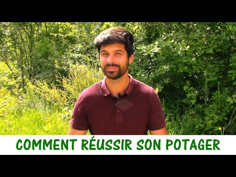 Vidéo: Conseils sur le jardinage dans la zone 7 - Conseils de jardinage pour les régions de la zone 7