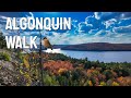 Algonquin Park: Booth’s Rock Trail Fall Walk with Calm Music