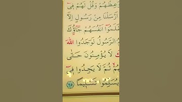 سورة النساء الأية 64 إلى 65 القارئ سعد الغامدي