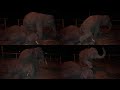 โนจัดให้บัวคืน❗️โดนสะกิดทั้งคืน ❗️ขำท้องแข็ง โนจัดให้एक हाथी,elephant