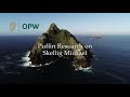 Puffin Research on Skellig Michael