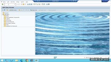 SAP BASIS : ENQUEUE WP ,ST22 and SM21 Transaction codes