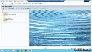 SAP BASIS : ENQUEUE WP ,ST22 and SM21 Transaction codes