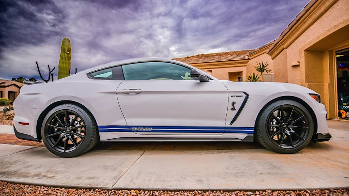 Shelby GT350 SIDE STRIPES by Benjamin Roman @ BEMA...