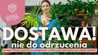 Majowy festiwal roślin w Jungle Boogie - zobacz obłędnie piękne rośliny, którym nie da się oprzeć!