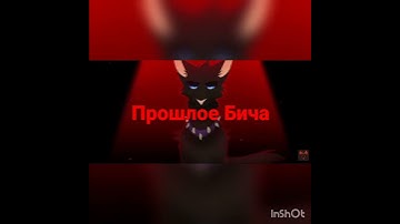 Warriors cats Scourge -starset My demons.