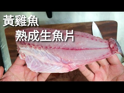 黃雞魚生魚片 5日熟成生魚片 (伊佐木刺身) | 5 Days Aged Parapristipoma trilineatum for Sashimi.
