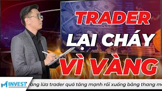 Vàng Lừa Trader Quá Tăng Mạnh Rồi Xuống Bằng Thang Máy - mInvest News