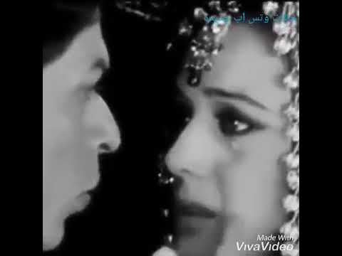 صلاح الهليل ودعنا الحب و ردينه حالات واتساب