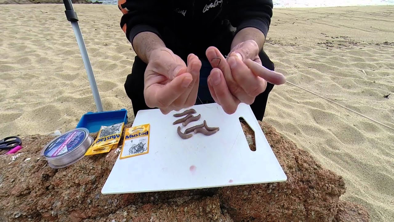 COMO CEBAR LA TITA _ TODOS A PESCAR/BASICO