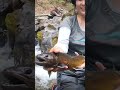【渓流釣り】細い沢、何気なく釣ってみたら…ヌシがいた #Shorts