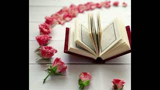 سورة العلق حدر لشيخ/ ياسر سلامه