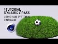 Creating Dynamic Grass using Hair System in Cinema 4D