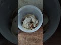 Eroju ma hostel lo #chennai #food #trending #cooking #viral #telugu