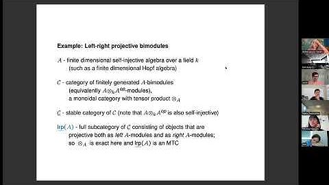 Sarah Witherspoon - Support theory for modules and bimodules