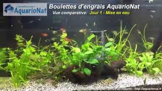 AquarioNat - Boulettes d'engrais aquarium