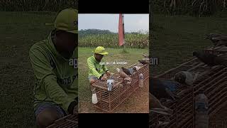 Lagu lama kaset baru ☕
