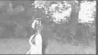 Horror Of The Vampire.flv