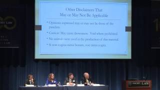 Emory Bankruptcy Development Journal Symposium 2017: Consumer Panel