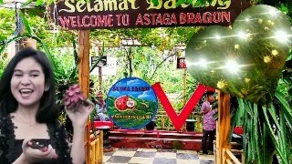 Agrowisata Astaga Dragon Banyuwangi | Edukasi Budidaya Buah Naga Plus Petik Buah Langsung Di Kebun