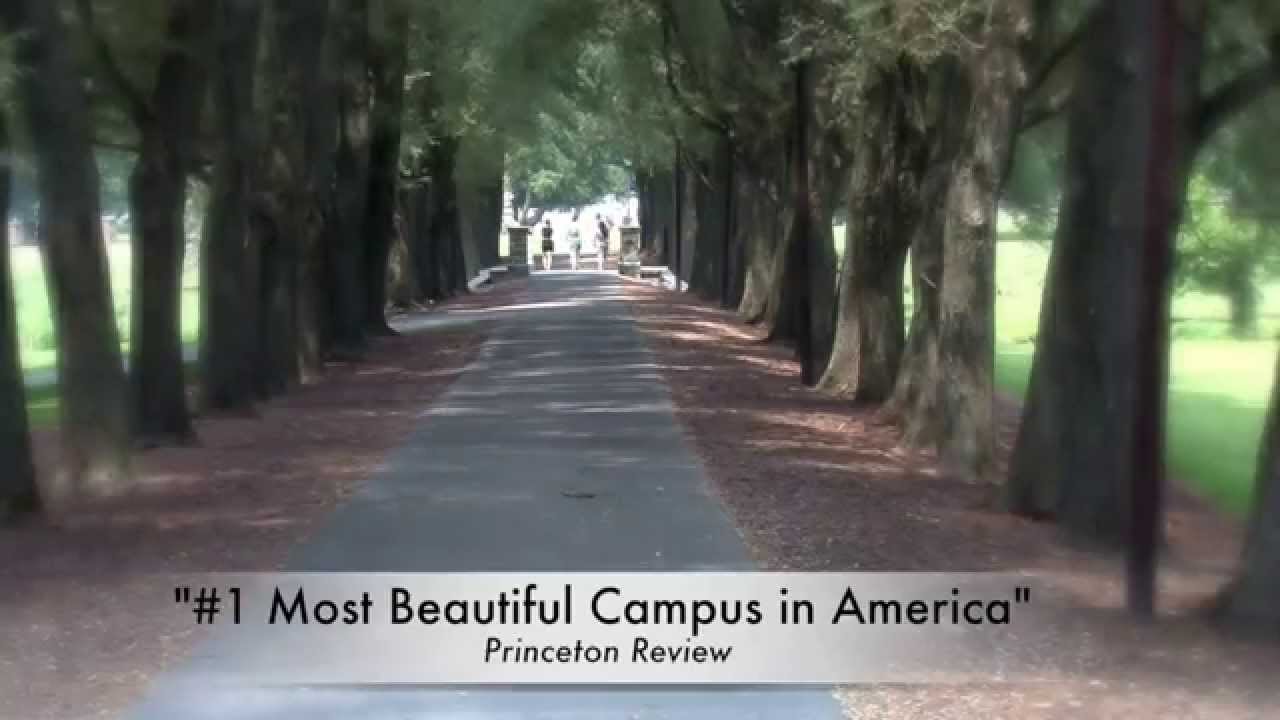 camera iphone 8 plus apk EUSMC Testimonial - Campus/Performance Samples