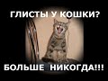 Как избавить кошку и котят от глистов быстро .