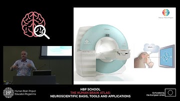 Vanduffel Wim - Bridging the gap between mice and humans