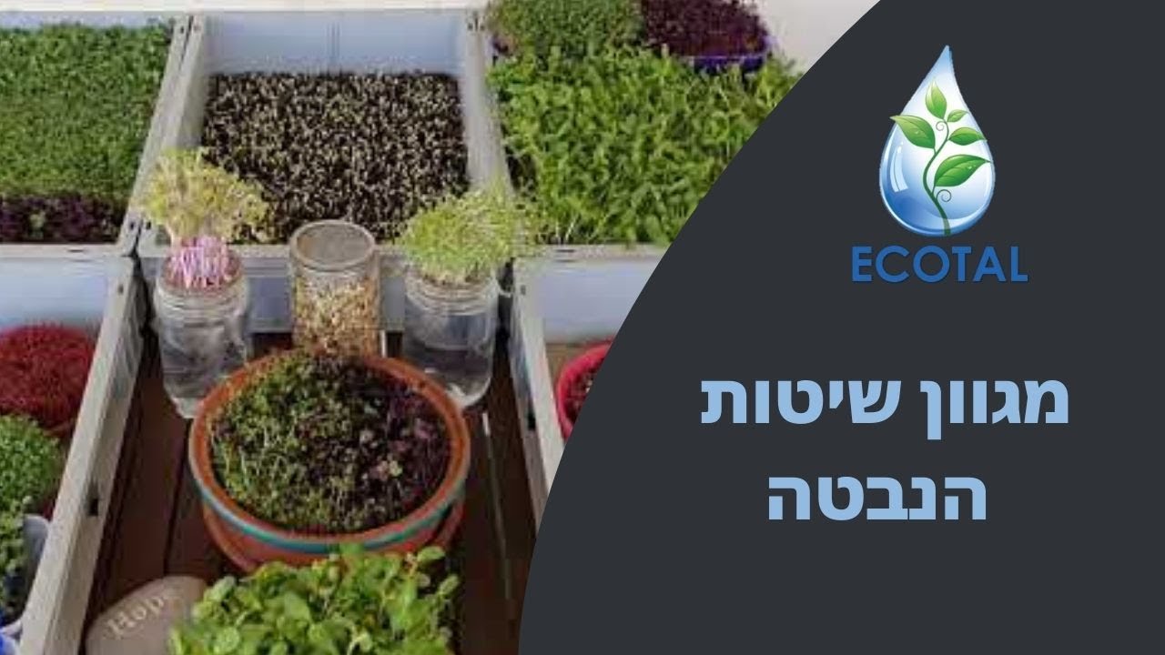 מגוון שיטות הנבטה