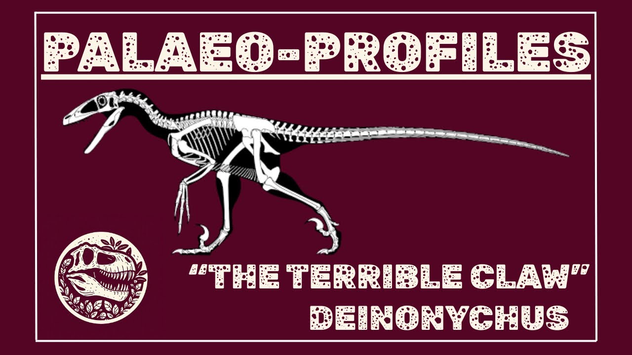 “The Terrible Claw” - Deinonychus Profile