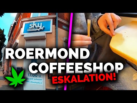 Roermond Coffeeshop Test ESKALIERT?? | WeedVlog #17 | Weedista