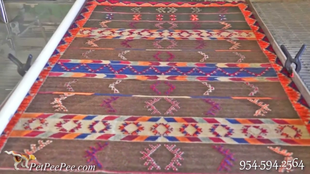 Moroccan rug cleaning from cat urine odor