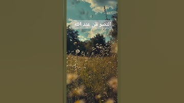 القرآن الكريم/ تلاوة خاشعة/ ترتيل #المصحف #quran #القرآن_الكريم #راحة_نفسية