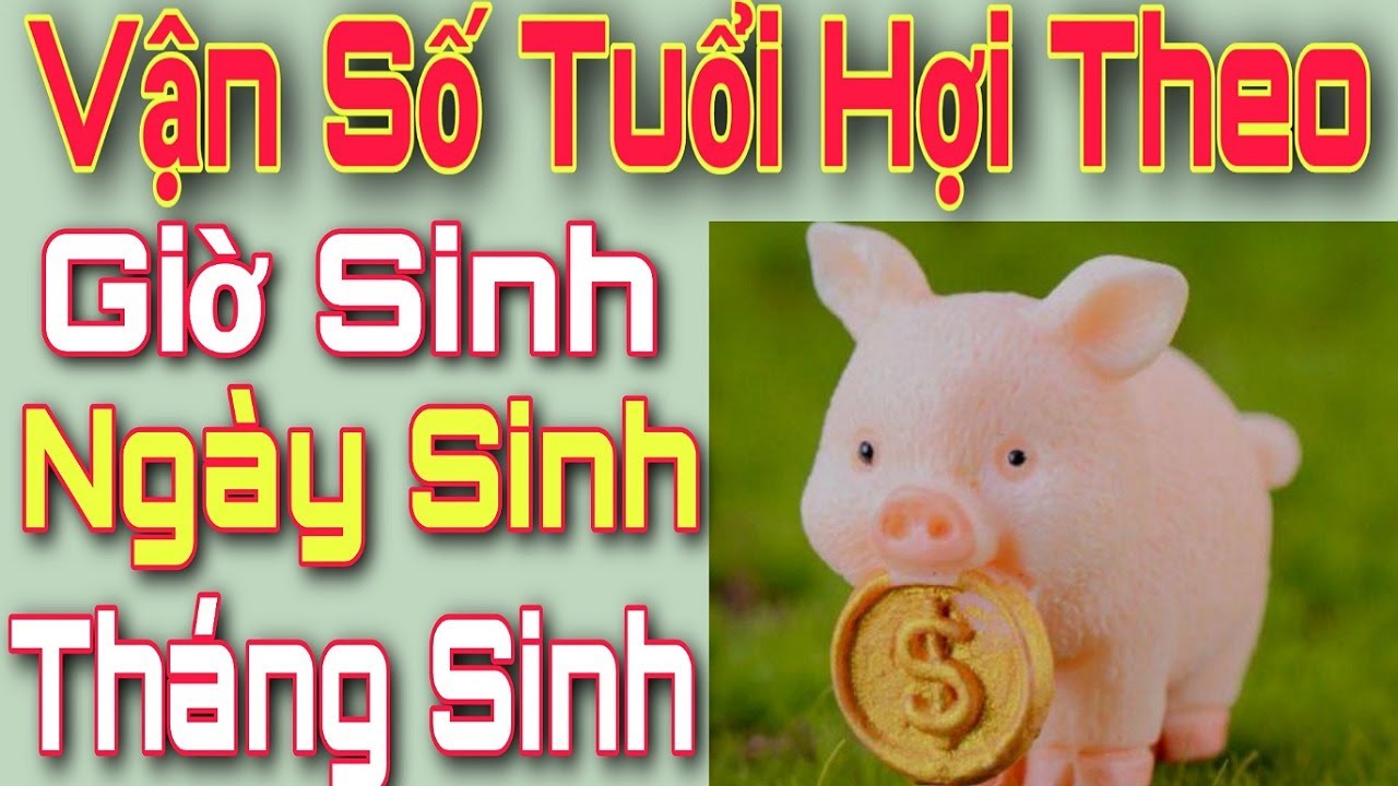 tool ho tro quay slot Tuổi HỢI Sinh GIỜ, NGÀY, THÁNG Nào Tốt Nhất? Vận Số Tuổi Hợi Theo Giờ, Ngày, Tháng Sinh.