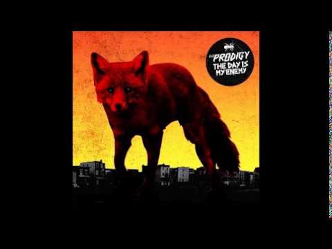 The Prodigy - Rok-Weiler