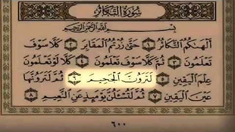 سلمان العتيبي - سورة التكاثر