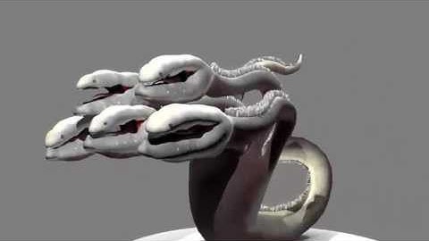 Hydra Animation