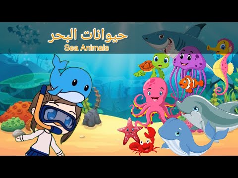 حيوانات البحر للأطفال Sea Animals For Kids In Arabic تعلم مع لولو حيوانات البحر للأطفال