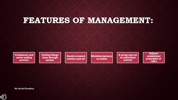 Basics of Management | Lecture No 7 | Principles of Management