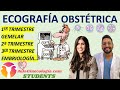 ECOGRAFÍA OBSTÉTRICA. AulaGinecología - STUDENTS. ECOGRAFÍA 1er, 2º y 3er TRIMESTRE. EMBRIOLOGÍA...