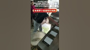 Auto Feeding Direction Fixed Radish Chip Slicing Cutting Machine