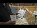 How To Use Borax To Clean And Protect A Deck From Mold and Termites