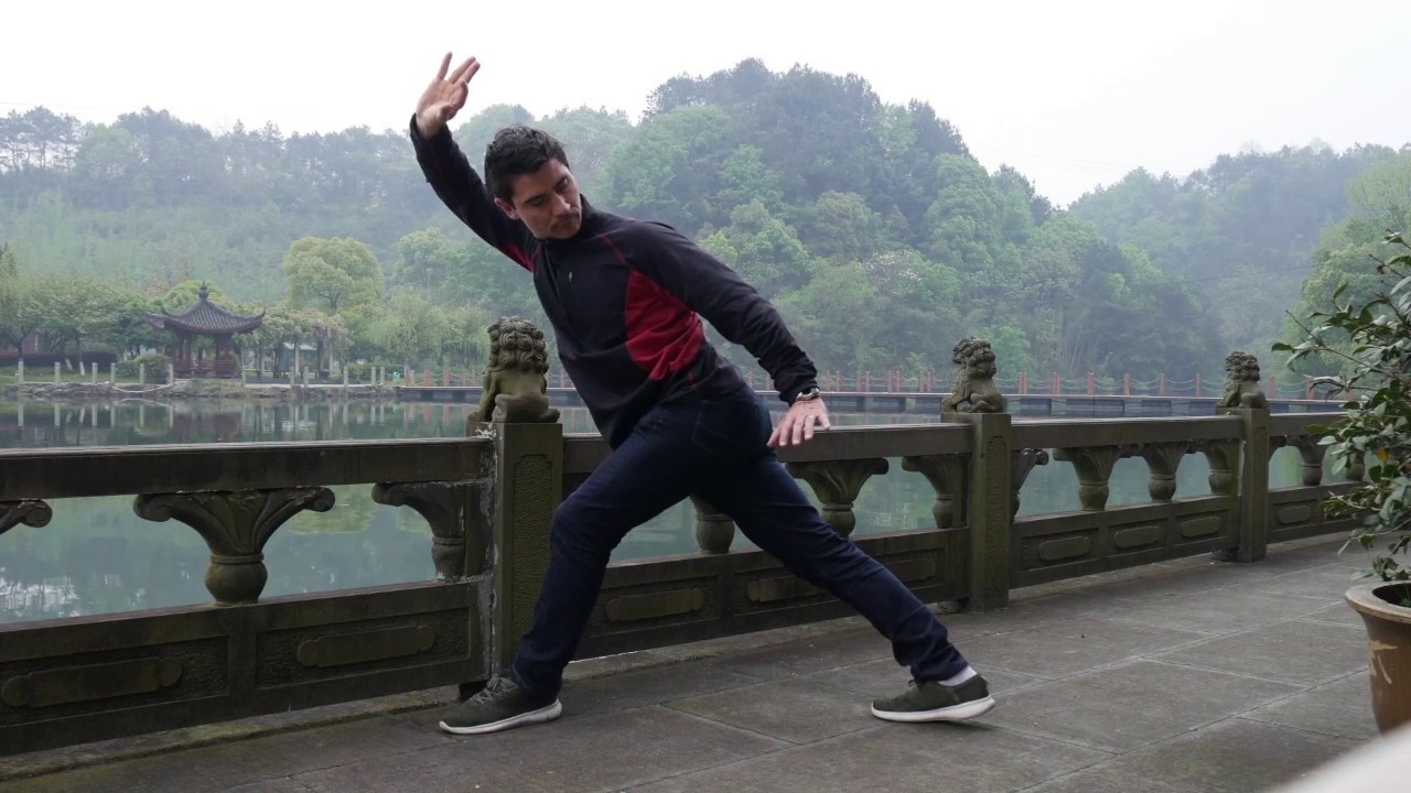 Yiquan / Dachengquan, entrainements en Chine