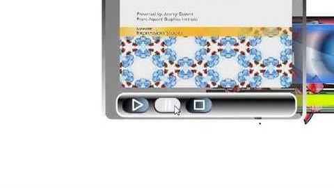 WPF (XBAP) 2D Animation and Controls