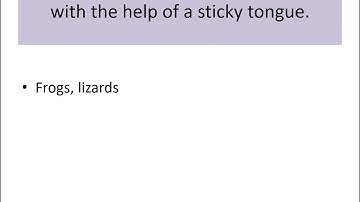 DAV class 3 SCIENCE Chapter 6 - Feeding habits of animals.........Extra questions and answers