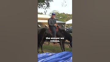 Quick Tips On Approaching An Obstacle! Part 2! | The Horse Guru - Michael Gascon