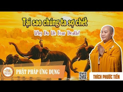 Video: Tại Sao Chúng Ta Sợ Sai