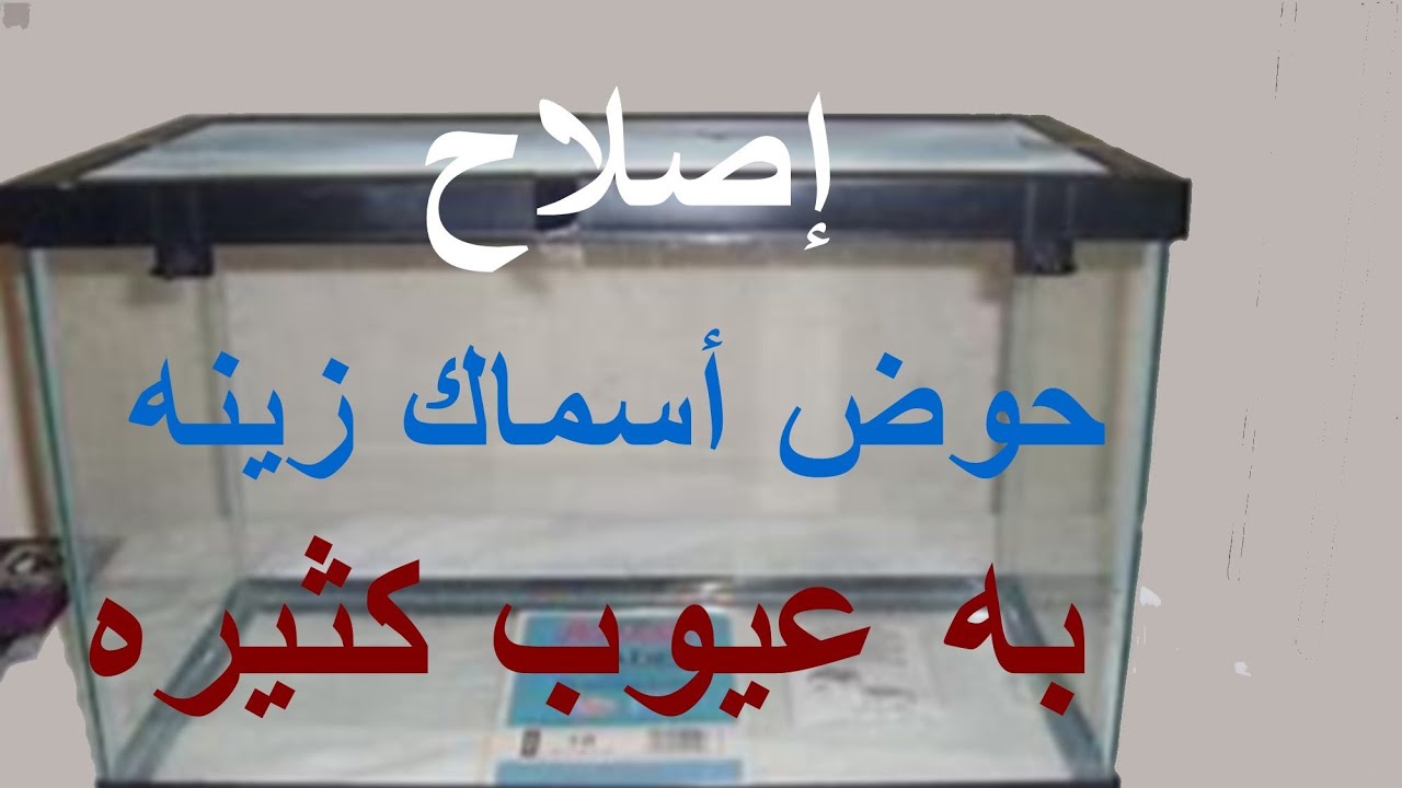 اصلاح حوض اسماك زينه به عيوب كثيره