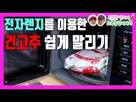 전자렌지를 이용한 건고추 말리기!! 꿀팁이다 정말~!! #고추농사 (강원도 영월이래요)