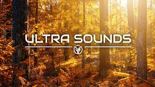 Cyran  We Wont Let You Go