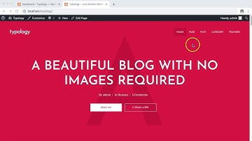 Social menu setup - Typology WordPress theme